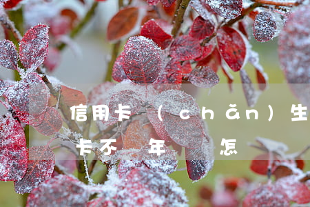 信用卡產(chǎn)生年費不還行嗎(信用卡不還年費會怎樣)