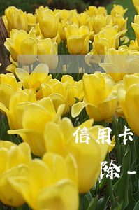 信用卡產(chǎn)生的非惡意逾期怎么刪除-信用卡產(chǎn)生的非惡意逾期怎么刪除記錄