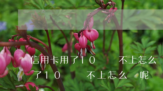 信用卡用了10萬還不上怎么辦-信用卡用了10萬還不上怎么辦呢 信用卡用了10萬還不上怎么辦-信用卡用了10萬還不上怎么辦呢