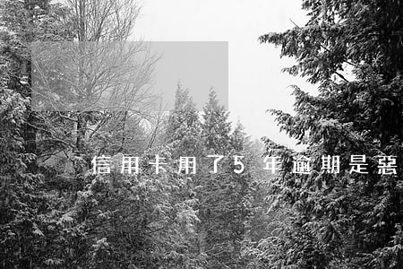 信用卡用了5年逾期是惡意透支嗎