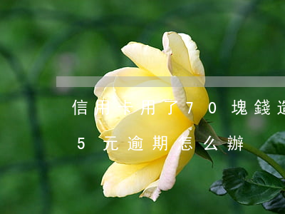 信用卡用了70塊錢造成的逾期-信用卡65元逾期怎么辦
