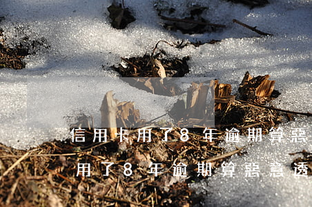 信用卡用了8年逾期算惡意透支嗎-信用卡用了8年逾期算惡意透支嗎怎么辦
