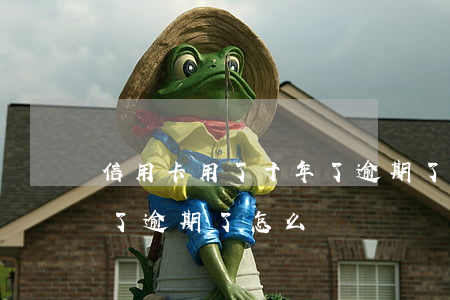 信用卡用了十年了逾期了-信用卡用了十年了逾期了怎么辦