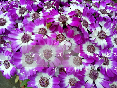 信用卡用了十年后逾期會(huì)被起訴么-信用卡用了十年后逾期會(huì)被起訴么嗎