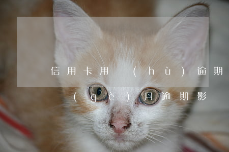 信用卡用戶(hù)逾期兩月影響(信用卡2個(gè)月逾期影響房貸)