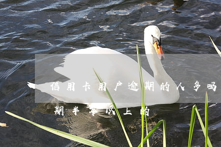 信用卡用户逾期的人多吗(有多少人信用卡逾期半年以上的)