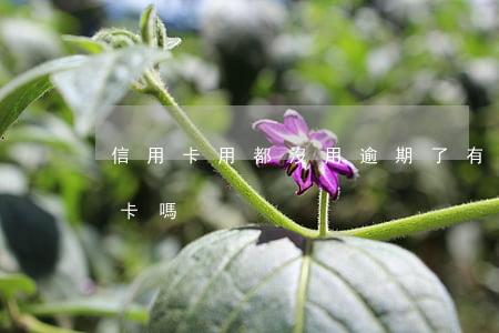 信用卡用都沒用逾期了 有逾期沒還能辦信用卡嗎