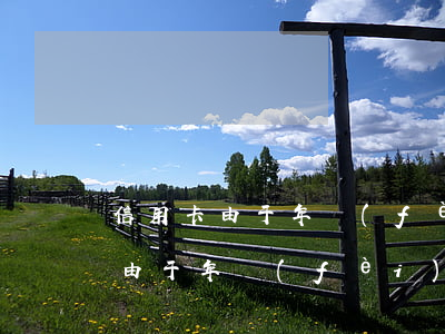 信用卡由于年費(fèi)造成逾期(信用卡由于年費(fèi)造成逾期)