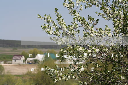 信用卡由于年費逾期了怎么辦(今年的信用卡逾期有什么處理)