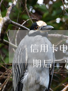 信用卡申請(qǐng)個(gè)性化分期后二次逾期-信用卡申請(qǐng)個(gè)性化分期后二次逾期怎么辦