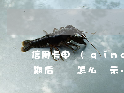 信用卡申請(qǐng)個(gè)性化分期后賬單怎么顯示-信用卡申請(qǐng)個(gè)性化分期后賬單怎么顯示還款
