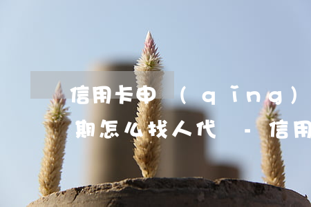 信用卡申請(qǐng)個(gè)性化分期怎么找人代辦-信用卡申請(qǐng)個(gè)性化分期怎么找人代辦呢