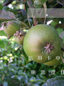 信用卡申請(qǐng)個(gè)性化分期需要什么資料-什么是信用卡個(gè)性化分期