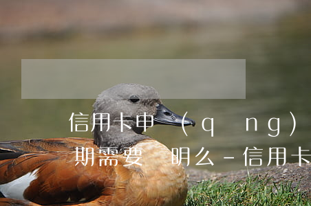 信用卡申請(qǐng)個(gè)性化分期需要證明么-信用卡申請(qǐng)個(gè)性化分期需要證明么嘛