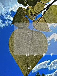 信用卡申請(qǐng)停息掛賬需要什么材料-信用卡申請(qǐng)停息掛賬需要什么材料和手續(xù)