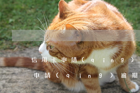 信用卡申請(qǐng)逾期失效了(信用卡申請(qǐng)逾期失效了怎么恢復(fù))