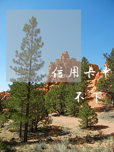信用卡申請不下來了沒有逾期過-信用卡申請不下來了沒有逾期過怎么辦