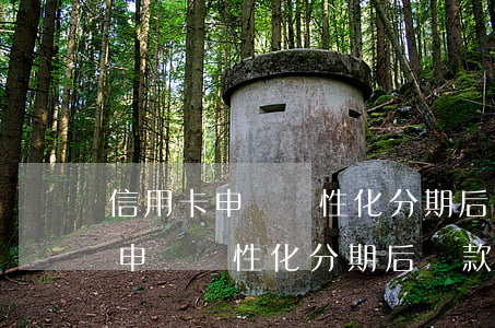 信用卡申請個性化分期后還款時間-信用卡申請個性化分期后還款時間怎么算