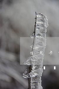 信用卡申請個性化分期有什么后果-信用卡申請個性化分期有什么后果嗎