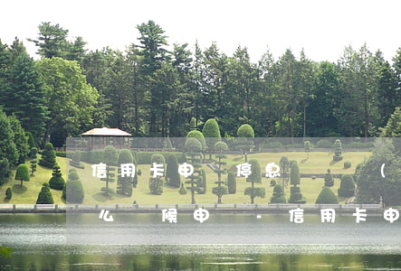 信用卡申請停息掛賬應(yīng)該在什么時候申請-信用卡申請停息掛賬應(yīng)該在什么時候申請呢