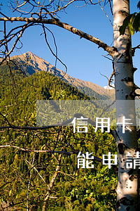 信用卡申請分期還款后逾期(為什么信用卡不能申請分期還款)