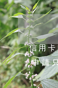信用卡申請只還本金 額度還能用嗎-信用卡申請只還本金 額度還能用嗎安全嗎