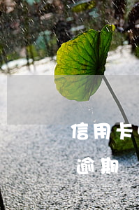 信用卡申請延期算逾期嗎(信用卡拖延幾天算逾期)