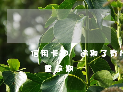 信用卡申請逾期了有什么后果(什么是信用卡嚴重逾期)