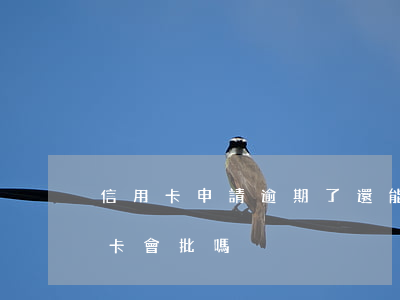 信用卡申請逾期了還能批嗎(當前逾期辦信用卡會批嗎?)
