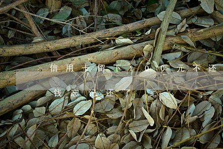 信用卡留下100元不还(信用卡100多块钱忘记还了)