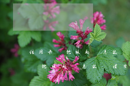 信用卡異地被起訴怎么處理有期限-信用卡異地被起訴怎么處理有期限限制嗎?
