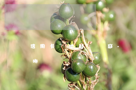 信用卡異地起訴開庭-異地起訴我開庭是在哪