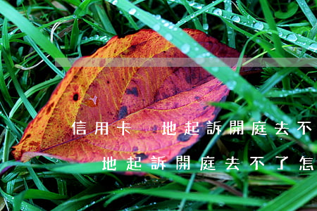 信用卡異地起訴開庭去不了怎么辦-信用卡異地起訴開庭去不了怎么辦理