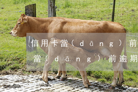 信用卡當(dāng)前逾期一次-信用卡當(dāng)前逾期一次好久可以公積金貸款