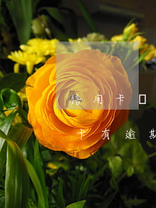 信用卡當(dāng)前逾期保下貸款(信用卡有逾期能擔(dān)保貸款嗎)