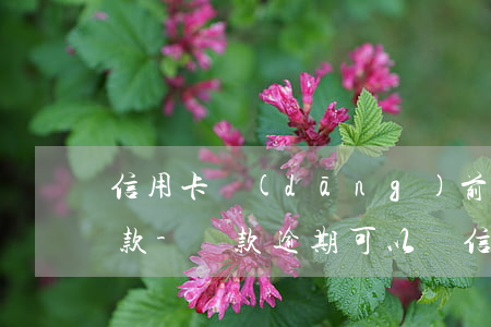信用卡當(dāng)前逾期可以辦什么貸款-貸款逾期可以辦信用卡嗎