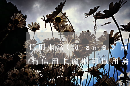 信用卡當(dāng)前逾期房屋抵押(本人有信用卡逾期可以用房子抵押貸款嗎)