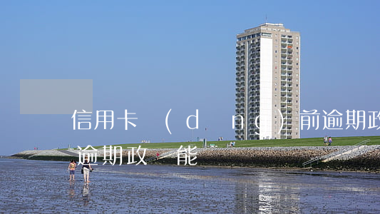信用卡當(dāng)前逾期政審能過嗎(有逾期政審能過嗎)