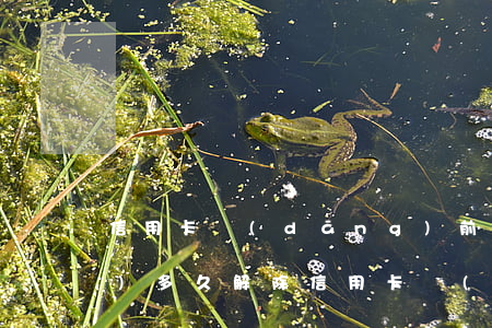 信用卡當(dāng)前逾期狀態(tài)多久解除(信用卡當(dāng)前逾期狀態(tài)多久解除凍結(jié))