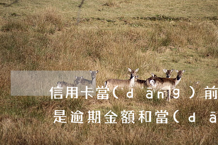 信用卡當(dāng)前逾期總額是指(什么是逾期金額和當(dāng)前還款額)