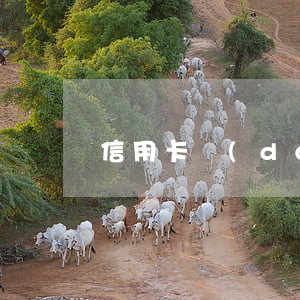 信用卡當(dāng)前逾期能做其他貸款嗎