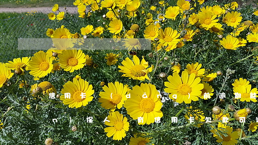 信用卡當(dāng)前逾期能做擔(dān)保人嗎 有信用卡欠款可以做擔(dān)保人嗎