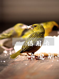 信用卡當(dāng)前逾期能房貸嗎(信用卡逾期可以房貸嗎)