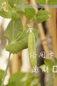 信用卡當(dāng)前逾期能提-征信有逾期記錄信用卡還能提額嗎
