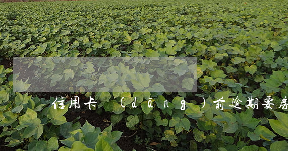 信用卡當(dāng)前逾期要房貸