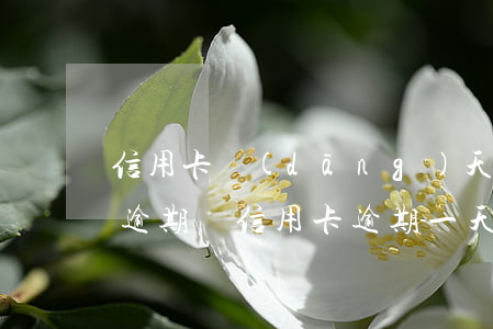 信用卡當(dāng)天不還會(huì)逾期嗎(信用卡逾期一天不還會(huì)有什么后果)