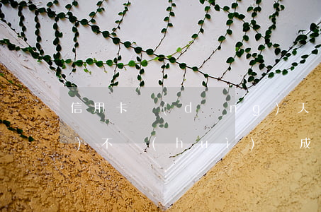 信用卡當(dāng)天傍晚還會(huì)不會(huì)變成逾期-信用卡當(dāng)天傍晚還會(huì)不會(huì)變成逾期了