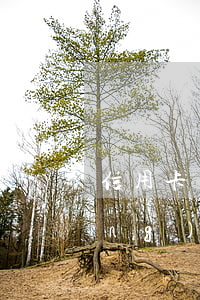 信用卡當(dāng)天逾期可以養(yǎng)卡嗎(逾期還信用卡的后果)