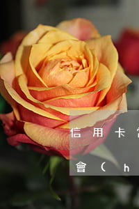 信用卡當(dāng)天還會(huì)不會(huì)算逾期(信用卡 逾期 幾天)