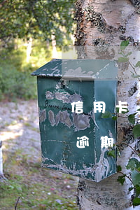 信用卡當(dāng)年逾期怎么辦(信用卡逾期幾年后如何處理)